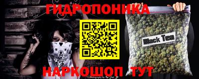 стафф Заволжье